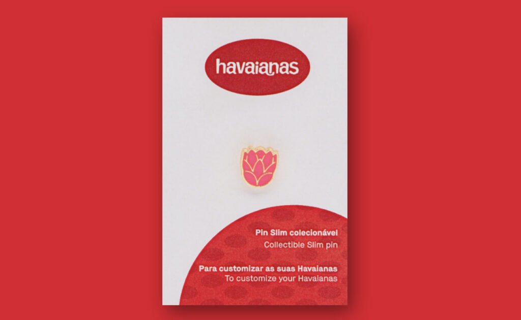 Protea - Havaianas